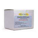 Набор мультитестов ИммуноХром на 5 видов наркотиков (20 тестов)