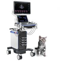 Ветеринарный УЗИ-сканер Mindray Vetus 7