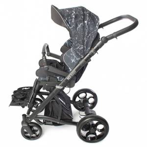 Кресло-коляска для детей с ДЦП Baffin Buggy Pro (Rico)
