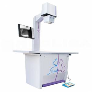 Цифровая рентгеновская система 2-в-1 JPI DynaVue