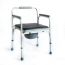 Стул-кресло с санитарным оснащением  FS895L