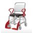 Кресло-каталка с санитарным оснащением Rebotec Нью-Йорк