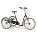 Велосипед для взрослых и детей с ДЦП Vermeiren Vintage