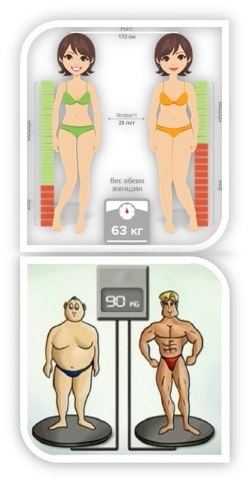 Общий вес мышечной массы человека, норма и важность контроля, как определить объем массы мышц